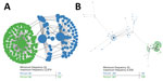 Intrahost genetic variation of representative transmission clusters of hepatitis C virus (HCV) among persons in public health and corrections settings, Wisconsin, USA, 2016–2017, highlighting the genetic relatedness of distinct variants. K-step network contains all possible minimum spanning trees and enables efficient visualization of genetic relatedness among all intrahost hypervariable region 1 (HVR1) variants for persons 84 and 86 (A) and persons 281 and 367 (B). Each node represents an HCV sequence. Color of the node corresponds to the sample of origin: green, found only in the first sample; blue, found only in the second sample. The node size is based on frequency of the HVR1 variant, and edge length is proportional to the modified Hamming distance (does not count positions with insertions or deletions as differences).