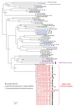 Spread and phylogenetic relationships of MDR Rhodococcus equi, United States. Phylogenetic tree of 93 R. equi isolates based on core-genome single-nucleotide polymorphism analysis by using ParSNP (18). The genomes analyzed are from 58 erm(46)-positive MR isolates, 24 control-susceptible isolates from same period and geographic origins, and 23 isolates representative of the genomic diversity of R. equi, including the reference genome 103S (33) and the type strain DSM 20307T (Appendix Table 1). Tip labels show year of collection and resistance phenotype for the 2001–2017 equine clinical isolates analyzed (the 50 genomes determined in this study are shown in bold, and other genomes are from previous study [15]). Red indicates MDR 2287 clonal complex, violet indicates novel MDR G2016 clone, blue indicates genetically diverse MR isolates recovered from a farm in Louisiana during 2015–2017 (MDR 2287 isolate from which they likely acquired the pRErm46 plasmid is indicated by an asterisk), and green indicates an RR isolate (rpoB S531K mutation). pRErm46 carriage status is indicated by symbols. Tree graph constructed with FigTree (http://tree.bio.ed.ac.uk/software/figtree). MDR, multidrug-resistant; MR, macrolide-resistant; MRR, dual macrolide/rifampin resistant; RR, rifampin-resistant. 