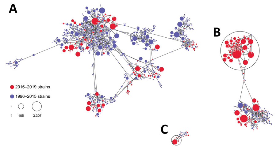 Genetic relatedness among hepatitis (HAV) strains, United States, 1996–2019. A) IA strains; B) IB strains; C) IIIA strains. Nodes represent HAV strains, and the size of node is proportional to the frequency of the strain; larger nodes denote more frequent detection. Distance between nodes approximates genetic closeness of HAV strains. Genetic clusters of closely related HAV strains encompassing a large fraction of all strains in HAV genotypes IB and IIIA are circled. Visualization created by using Gephi software (https://gephi.org). 