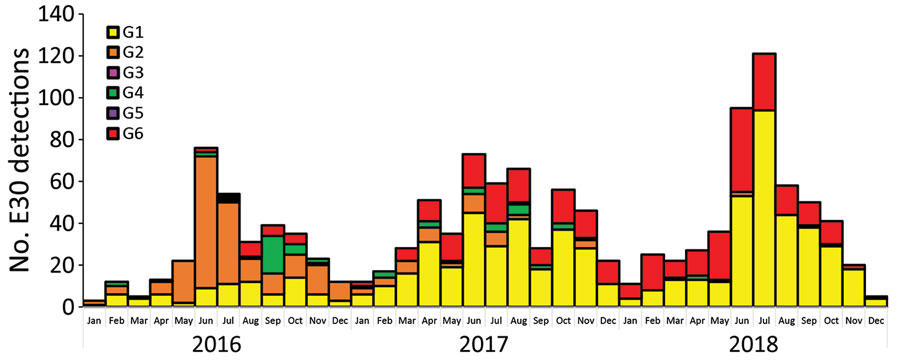 Monthly distribution of echovirus 30 (EV30) clades G1–G6 detected among 1,329 sequences submitted from 22 countries in Europe during 2016–2018. 