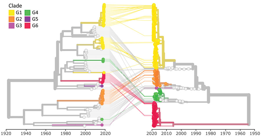 Tanglegram of echovirus 30 (E30) phylogenetic virus protein 1 (VP1) (right) and 3D polymerase (3Dpol) (left) by year of sample collection. We used 110 sequences and rendered the tanglegram by using Nextstrain (https://www.nextstrain.org). Clades G1–G6 are labeled. 