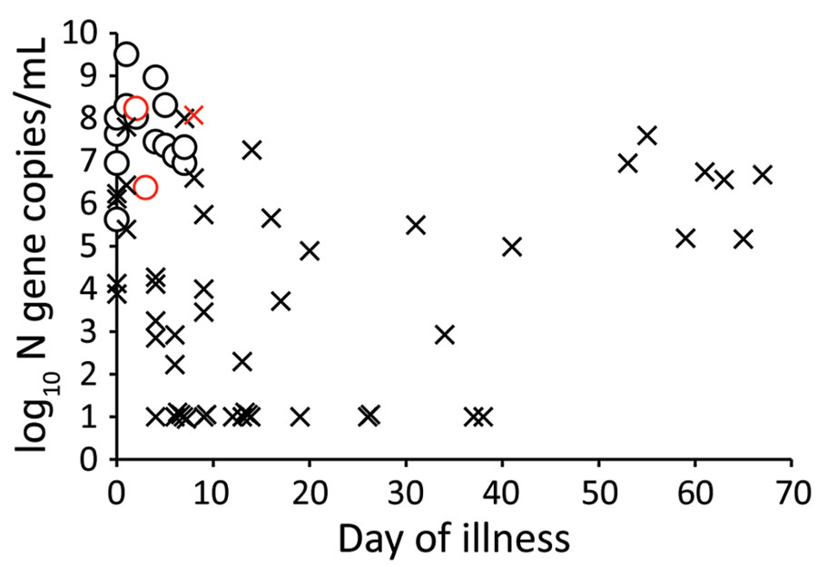 Severe acute respiratory syndrome coronavirus 2 RNA load, virus culture, and days after onset of illness in respiratory specimens and duration of illness for patients with mild coronavirus disease, Hong Kong. ¡ indicates samples positive by virus culture and × indicates samples negative by virus culture. Red indicates 2 critically ill patients and 1 patient who died; black indicates mild, moderate, or asymptomatic infections. The limit of detection of the viral N gene RNA was 1 log10 copies/mL; undetectable virus load is indicated as the limit of detection. N, nucleoprotein.