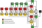 Illustration of the populations and processes considered in a mechanistic compartmental model of coronavirus disease daily incidence during regional epidemics, United States, 2020. The model accounts for susceptible persons (S), exposed persons without symptoms in the incubation phase of disease (E), asymptomatic persons in the immune clearance phase of disease (A), mildly ill symptomatic persons (I), severely ill persons in hospital or at home (H), recovered persons (R), and deceased persons (D). The model also accounts for social distancing, which establishes mixing (M) and protected (P) subpopulations; quarantine driven by testing and contact tracing, which establishes quarantined subpopulations (Q); and self-isolation spurred by symptom awareness. Persons who are self-isolating because of symptoms are considered to be members of the IQ population. The incubation period is divided into 5 stages (E1–E5), which enables the model to reproduce an empirically determined (nonexponential) Erlang distribution of waiting times for the onset of symptoms after infection (12). The exposed population consists of persons incubating virus and is comprised of presymptomatic and asymptomatic persons. The A populations consist of asymptomatic persons in the immune clearance phase. The gray background indicates the populations that contribute to disease transmission. An auxiliary measurement model (Appendix Equations 23, 24) accounts for imperfect detection and reporting of new cases. Only symptomatic cases are assumed to be detectable in surveillance testing. Red indicates the mixing population; yellow indicates the protected population; green indicates the quarantined population; white indicates the recovered population; black indicates the deceased population.