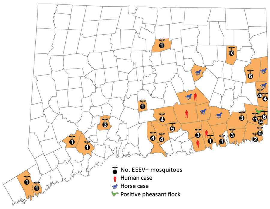 Geographic distribution of EEE in mosquitoes, humans, horses, and pheasant flocks, Connecticut, USA, 2019. EEE, Eastern equine encephalitis; EEEV, EEE virus; +, positive.