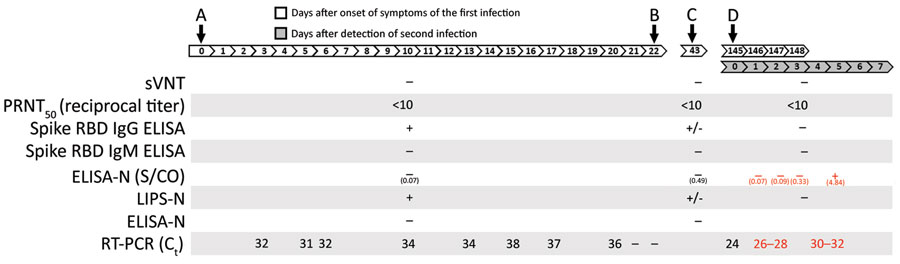Timeline of primary infection and reinfection with severe acute respiratory syndrome coronavirus 2, Hong Kong, August, 2020. A) Onset. B) Discharge. C) Clinical follow-up. D) Mandatory testing. Black font indicates data from this investigation; red font indicates data from To et al. (6). Ct, cycle threshold; ELISA-N, enzyme linked immunosorbent assay for N protein; LIPS, luciferase immune precipitation assay; PRNT50, 50% plaque reduction neutralization test titer; RBD, receptor binding domain; RT-PCR, reverse transcription PCR; S/CO, ratio of optical density readings of sample divided by cutoff (ratio of >1.4 considered positive); sVNT, surrogate virus neutralization test; +, positive; –, negative; +/–, borderline.