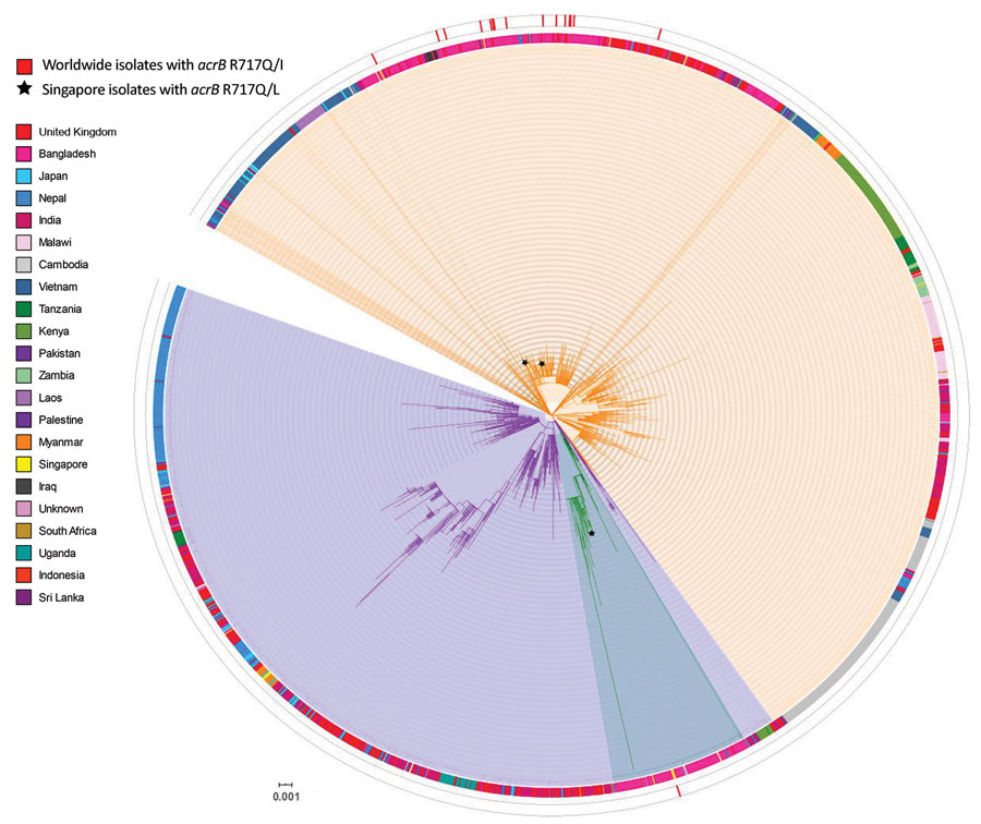 Core single-nucleotide polymorphism phylogenetic tree of 15 genotype 4.3.1 Salmonella enterica serovar Typhi isolates tested for azithromycin resistance, Singapore. Isolates sequenced in this study were compared with other publicly available Salmonella Typhi genomes, indicated by their corresponding GenBank accession number obtained from Pathogenwatch (https://pathogen.watch) on the basis of 3,104 core-genome single-nucleotide polymorphisms. Azithromycin-resistant isolates analyzed in this study are indicated by asterisks (*). Salmonella Typhi CT18 was designated as the reference genome (blue). Genotype information obtained from the GenoTyphi tool (4) was included for all genomes, and country of isolation was added when available. The tree was illustrated by using iTOL version (8). Scale bar indicates nucleotide substitutions per site.