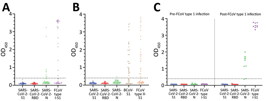 ELISA reactivities against different antigens of pre–coronavirus disease (COVID-19) cat and dog serum samples and paired samples of FCoV type I infection, the Netherlands. A) Reactivities of pre–COVID-19 cat serum samples against SARS-CoV-2 S1, RBD, N, and FCoV type I S1. B) Reactivities of pre–COVID-19 dog serum samples against SARS-CoV-2 S1, RBD, N, BCoV S1, and FCoV type II S1. C) Reactivities of paired SPF cat serum samples (left panel) and FCoV type I–specific serum samples (right panel) to SARS-CoV-2 S1, subunit; RBD, N, and FCoV S1 protein levels were determined by ELISA. Dotted lines indicate positive cutoff levels. BCoV, bovine coronavirus; FCoV, feline coronavirus; N, nucleocapsid; OD, optical density; RBD, receptor-binding domain; S1, spike protein subunit 1; SARS-CoV-2, severe acute respiratory syndrome coronavirus 2; SPF, specific pathogen free. 