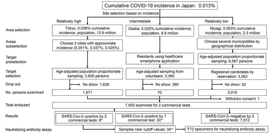 Flowchart of participants and results of SARS-CoV-2–specific antibody survey, Japan, 2020. Dagger (†) indicates sum of values marked with asterisks (*). SARS-CoV-2, severe acute respiratory syndrome coronavirus 2.