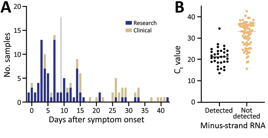 Frequency distribution of days between symptom onset and testing in study on strand-specific real-time reverse transcription PCR for detection of replicating severe acute respiratory syndrome coronavirus 2, California, USA, 2020. Dashed line indicates the median number of days since symptom onset. B) Distribution of standard real-time reverse transcription PCR cycle threshold values by results of strand-specific real-time reverse transcription PCR. Horizontal line indicates median.