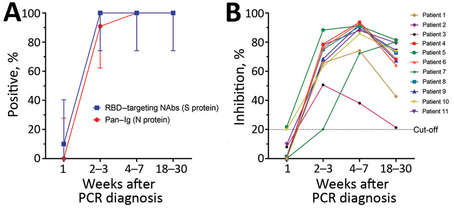 Antibody responses in 11 study participants, weeks 1–20 after PCR diagnosis of SARS-CoV-2 infection, Vietnam, 2020. A) Seroprevalence of SARS-CoV-2 among 11 COVID-19 patients. We followed testing protocols and the positive cutoff of 20% recommended in the Elecsys Anti–SARS-CoV-2 assay (Roche, https://diagnostics.roche.com) without any modification. Using these parameters, previous studies showed an excellent concordance between results from surrogate virus neutralization tests and conventional neutralizing antibody detection assays (3,4). Vertical bars denote 95% CIs. Graphs were created using GraphPad Prism version 8.0 (GraphPad software, https://www.graphpad.com). B) Kinetics of neutralizing antibodies measured by the surrogate neutralization assay (GenScript, https://www.genscript.com) with the 20% cutoff applied. We tested samples at 1:10 dilution as specified. Because of the limited availability of plasma samples, each sample was tested only once. RBD, receptor-binding domain; NAbs, neutralizing monoclonal antibodies; S, spike; N, nucleocapsid. 