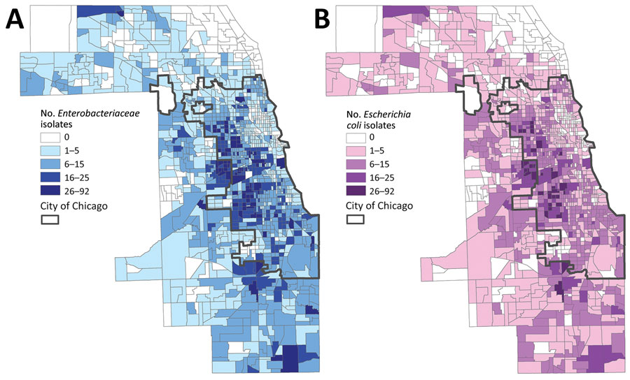 Number of Enterobacteriaceae (A) and Escherichia coli (B) isolates collected from patients in the Cook County Health healthcare system, by Cook County census tract, Illinois, USA, 2016–2018.