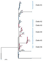 Maximum-likelihood core SNV phylogenetic tree of 159 Streptococcus pneumoniae serotype 4 ST244 isolates collected in Alberta, Canada, 2010–2018. A total of 615 sites were used in the phylogeny, and 97.4% of the core genome was included. An internal isolate SC19-3744-P (oldest outlier) was used as a mapping reference and root. Red nodes indicate isolates from the Calgary region, blue nodes those from Edmonton; triangles indicate association with homelessness. Scale bar indicates genetic distance. SNV, single nucleotide variant; ST, sequence type.