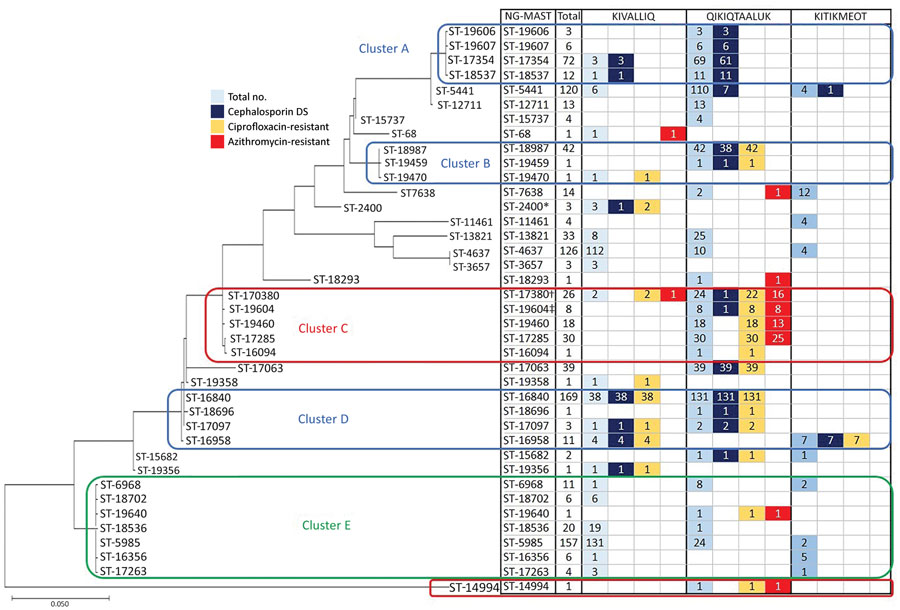 Genetic relationship of Neisseria gonorrhoeae multiantigen sequence typing sequence types (STs) of gonorrhea-positive nucleic acid amplification specimens with prevalent and predicted nonsusceptible SNP assay results (n = 975) from a study of antimicrobial resistance in N. gonorrhoeae in the Nunavut region of Inuit Nunangat, Canada, 2018–2019. Only prevalent STs or STs whose samples predicted decreased susceptibility to cephalosporins or resistance to ciprofloxacin or azithromycin were included. The evolutionary history was inferred by using the maximum-likelihood method and Tamura-Nei model (13). The tree with the highest log likelihood (–4321.41) is shown. Initial trees for the heuristic search were obtained automatically by applying neighbor-joining and BioNJ algorithms to a matrix of pairwise distances estimated using the maximum composite likelihood approach, and then selecting the topology with superior log likelihood value. The tree is drawn to scale, with branch lengths measured in the number of substitutions per site. This analysis involved 39 nucleotide sequences. Codon positions included were 1st+2nd+3rd+Noncoding; a total of 917 positions were in the final dataset. Evolutionary analyses were conducted in MEGA X (14). Clusters were identified as STs with ≤5 base pair differences between them. *One of the ST2400 samples was predicted to be cephalosporin decreased susceptibility (not cephalosporin/DS). †The sample that was predicted to be cephalosporin/DS was not azithromycin resistant. ‡The sample that was cephalosporin/DS was also azithromycin resistant. Cephalosporin/DS, cephalosporin intermediate/decreased susceptibility. 
