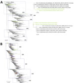 Phylogenetic analysis of severe acute respiratory syndrome coronavirus 2 genome consensus sequences detected in sewage samples, the Netherlands and Belgium. A) The Netherlands subsample dataset; B) global subsample dataset. Lines with dots in green indicate samples sequenced in this study. Clades (19A, 19B, 20A, 20B, and 20C) were assigned by using the Nextclade tool (https://clades.nextstrain.org). For the global subsample tree, samples in orange indicate the Netherlands sequences. Samples in purple indicate Belgium sequences. Scale bars indicate inferred number of nucleotide substitutions per site.