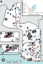 Spatial occurrence and accessibility of yaws endemic communities in Maryland County, Liberia. A) All survey cluster centroids (n = 92). Yaws endemic clusters are shown by large gray circles. All survey clusters were classified based on accessibility criteria into high access (pink), low access (blue), and very low access (yellow) using open-source GIS datasets. Black features are OpenStreetMap defined buildings (©OSM Contributors) to provide indication of structural density. B, C) Main urban centers of Maryland County: Pleebo (B) and Harper (C). Inset: Results of divisive hierarchical classification. The axes of this plot show the principal components and proportion of variance explained by each component.