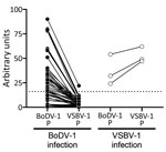 Reactivity of samples from BoDV-1- and VSBV-1-infected patients with homologous and heterologous bornavirus P antigens, Germany. Bornavirus indirect immunofluorescence antibody test–positive serum and cerebrospinal fluid samples were tested by using the Euroimmun (https://www.euroimmun.com) line blot with BoDV-1 P and VSBV-1 P antigens (BoDV-1: 52 samples from 14 patients; VSBV-1: 3 samples from 2 patients). Samples originated from patients with laboratory-confirmed BoDV-1 or VSBV-1 infection (2,10–12; this study). Results are indicated as arbitrary units. Dotted line indicates cutoff value of 16 as defined by the manufacturer. BoDV-1, Borna disease virus 1; P, phosphoprotein; VSBV-1, variegated squirrel bornavirus 1.