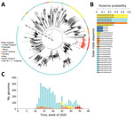 Genomic sequence analyses of global severe acute respiratory syndrome coronavirus 2 isolates. A) Maximum-clade credibility phylogenetic tree of 2,000 subsampled global genomes (1,996 most recently sampled B.1.1.1. plus 4 non-B.1.1.1. used as an outgroup) with an outer ring colored by sampling region. B) Posterior probability of genomes within the sister clade to that of the August 2020 outbreak in New Zealand, color coded by sampling location. C) Proportion of genomes within lineage B.1.1.1. in the global dataset over time, color-coded by sampling location.