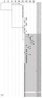 Phylogenetic tree of severe acute respiratory syndrome coronavirus 2 genome sequences associated with long-term care facility C and correctional facility B, Minnesota, US, April–June 2020. Filled circles represent sequences from samples from inmates or residents; open circles represent sequences from facility staff or healthcare workers. Sequences from long-term care facility C are shown on a white background; sequences from correctional facility B, on a gray background. Sequences from 2 household contacts are noted with stars. IQ-TREE (29) was used with the general time reversible substitution model for tree generation. Branch lengths were scaled to represent number of single-nucleotide mutations, as shown in the scale. MDH, Minnesota Department of Health.