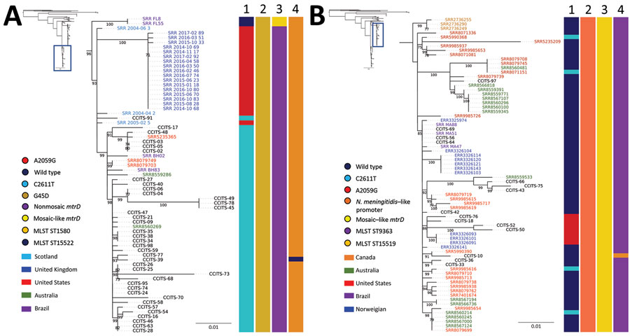 Phylogenomic tree of Neisseria gonorrhoeae isolates with azithromycin MICs of >2 μg/mL, 2004–2017. A) MLST ST1580 and NG-MAST genogroup 470 isolates from Argentina in the context of selected isolates from Scotland (2004–2005), the United States (2016), Australia (2017), Brazil (2015–2016), and the United Kingdom (2014–2017). B) MLST ST9363 and NG-MAST genogroup G12302 isolates from Argentina in the context of selected isolates from Australia (2017), the United States (2014–2017), Brazil (2015–2016), Norway (2017), and Canada (2013–2014). Lane 1, 23S rRNA; lane 2, mtrR; lane 3, mtrD; lane 4, MLST. Labels indicate isolate identity; font colors indicate country of isolation. Bar colors indicate distribution of mutations. Insets indicate relationship of sequences to larger phylogenetic tree. Scale bar indicates substitutions per site.  MLST, multilocus sequence typing; NG-MAST, N. gonorrhoeae multiantigen sequence typing.