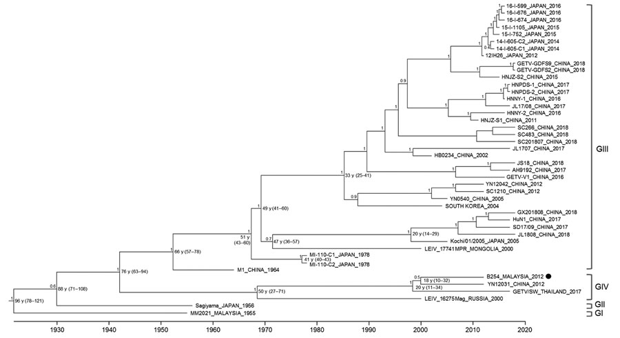 Maximum-clade credibility tree of complete coding sequences of Getah virus (GETV) strain B254 from Malaysia (black dot) and reference strains. Horizontal branches are drawn to a scale of estimated year of divergence. Times to the most recent common ancestor with 95% highest posterior density values (ranges in parentheses) are shown at nodes. Posterior probability values >0.6 of key nodes are shown. G, group.
