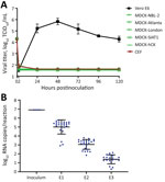 Influenza virus substrates not infected by severe acute respiratory syndrome coronavirus 2 (SARS-CoV-2) in study of susceptibility to SARS-CoV-2 of cell lines and substrates used to diagnose and isolate influenza and other viruses. A) Vero E6, MDCK-NBL-2, MDCK-Atlanta, MDCK-London, MDCK-SIAT1, MDCK-hCK, and chicken embryo fibroblast cells inoculated with USA-WA1 at 5 × 104 TCID50/well in 12-well plates (MOI 0.1 to ≈0.3, depending on cell line). B) USA-WA1 total viral RNA levels in allantoic fluid from infected eggs quantified by real-time reverse transcription PCR using a standard curve generated by synthetic RNA. Four eggs with undetectable RNA not plotted for E3. Data are mean of n = 3 +SD (cells) or n = 24 +SD (eggs). TCID50, median tissue culture infectious dose.