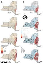 Epidemiology and spatial emergence of anaplasmosis, New York, USA, 2010‒2018. A) Incidence by ZIP code tabulation area, odd years, 2011–2017. B) Getis-Ord Gi* hot spots (https://pro.arcgis.com) and adult Ixodes scapularis tick ERI, odd years, 2011–2017. Conf., confidence; ERI, entomologic risk index.