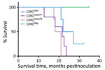 Survival curves for raccoons inoculated intracranially with the agent of CWD from white-tailed deer or vole-passaged CWD. CWD, chronic wasting disease; CWDNeg, CWD negative white-tailed deer; CWDVole-P1, first passage (white-tailed deer to vole); CWDVole-P5, fifth passage (vole to vole); CWDWtd, CWD from white-tailed deer.