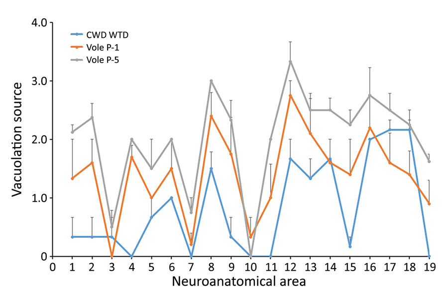 Vacuolation lesion profiles for study raccoons inoculated with the agent of CWD from WTD (blue) or inoculum prepared from the first-passage (orange) or fifth-passage (gray) of CWD WTD in voles. Error bars represent SE of the mean. CWD, chronic wasting disease; WTD, white-tailed deer.