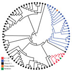 Maximum-likelihood tree of severe acute respiratory syndrome coronavirus 2 whole-genome sequences from Paraíba in study of reinfection case, Brazil, June–October 2020. Branching pattern of whole-genome sequences (29779 nt) from Paraíba (n = 77) are shown classified within lineages B.1.1.28 (red), B1.1.33 (blue), and others B.1.1 (black). Sequences derived from the primary infection and reinfection are highlighted with different colors as indicated. Nodes with high statistical support (approximate-likelihood ratio test >9.0) are marked by the smaller circular shapes.