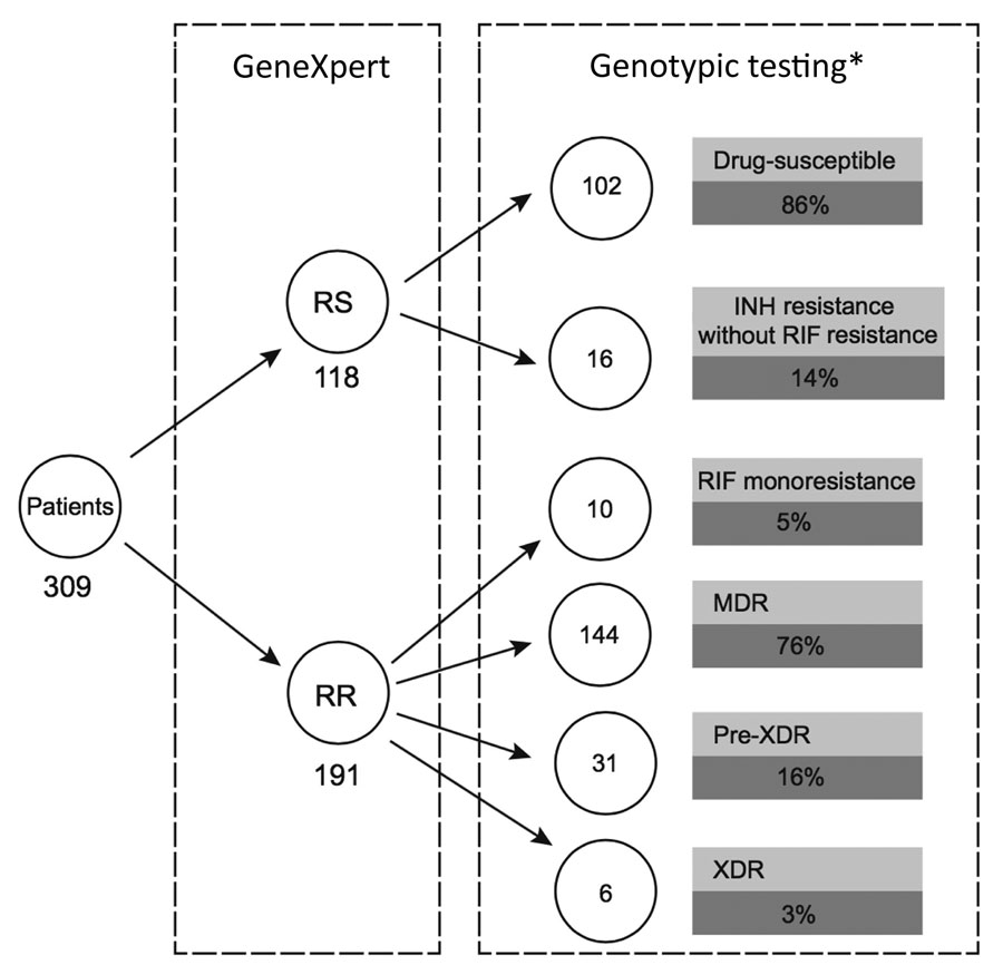 Genomic profiling of Mycobacterium tuberculosis strains, Myanmar, comparing discriminatory power offered by GeneXpert (Cepheid, https://www.cepheid.com) and additional genotypic testing, such as line-probe assay or whole-genome sequencing. RIF resistance and sensitivity were determined by using the Xpert MTB/RIF assay (Cepheid). INH, isoniazid; MDR, multidrug resistant; RIF, rifampin; RR, rifampin resistant; RS rifampin sensitive; XDR, extensively drug resistant. *Resistance profile confirmed by phenotypic testing.