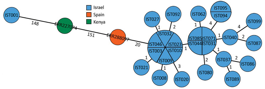 Minimum spanning tree of invasive group A Streptococcus emm93.0 type from Israel, 2016–2019, and global strains (Spain and Kenya). Tree is based on whole-genome multilocus sequence typing comparison of selected emm93.0 strains and global strains with logarithmic scaling. Node color represents the country origin of the sample. Nodes are labeled by sample number key for those from this outbreak; those from Spain and Kenya are labeled by Sequence Read Archive accession number (Appendix 1 Table 2). Numbers on branches indicate the number of allelic differences between those 2 strains.