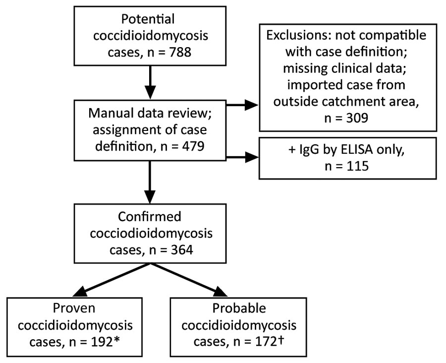 Flowchart showing process for inclusion of possible coccidioidomycosis studies in study of cases in Utah, 2006–2015. Confirmed cases had ≥1 of the following: 1) histopathological, cytopathological, or direct microscopic evidence of Coccidioides spherules with tissue damage from sterile specimen or tissue biopsy; 2) culture from any specimen or tissue biopsy positive for C. immitis or C. posadasii; 3) blood culture positive for C. immitis or C. posadasii; 4) positive Coccidioides serology in cerebrospinal fluid; or 5) two-dilution rise in Coccidioides CF titer measured in consecutive blood samples tested concurrently. Probable cases had a Coccidioides complement fixation titer >1:2 or positive IgM or IgG by EIA/ELISA or immunodiffusion in the setting of a compatible clinical syndrome and ≥1 of the following: 1) systemic infection with fever, chills, night sweats, weight loss; 2) cutaneous or musculoskeletal infection; 3) pulmonary involvement with nodules, cavitation, hilar lymphadenopathy; 4) meningitis; or 5) visceral infiltration. Definitions based on criteria set by the European Organization for Research and Treatment of Cancer/Invasive Fungal Infections Cooperative Group; National Institute of Allergy and Infectious Diseases Mycoses Study Group (10).