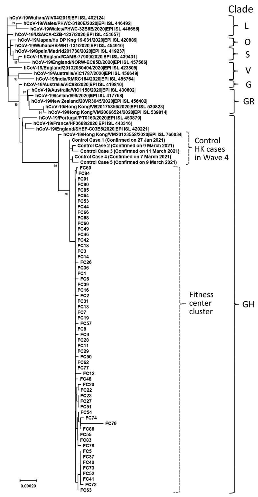 Phylogenetic tree of the severe acute respiratory syndrome coronavirus 2 (SARS-CoV-2) viruses detected in a fitness club in Hong Kong, China, in March 2021. Viruses from clades L, S, V, G, GH, GR, and O (others) are also included in the analysis. Near full-length genomes of studied samples were deduced by a previously described Illumina (https://www.illumina.com) sequencing protocol (sequence coverage >100) (1,4). Human SARS-CoV-2 WIV04 is selected to be the root of this phylogenetic tree. The tree was constructed by using the neighbor-joining method. Only bootstrap values >80 are shown. EPI ISL accession nos. for sequences retrieved in GISAID (https://www.gisaid.org) are provided. Scale bar indicates estimated genetic distance.