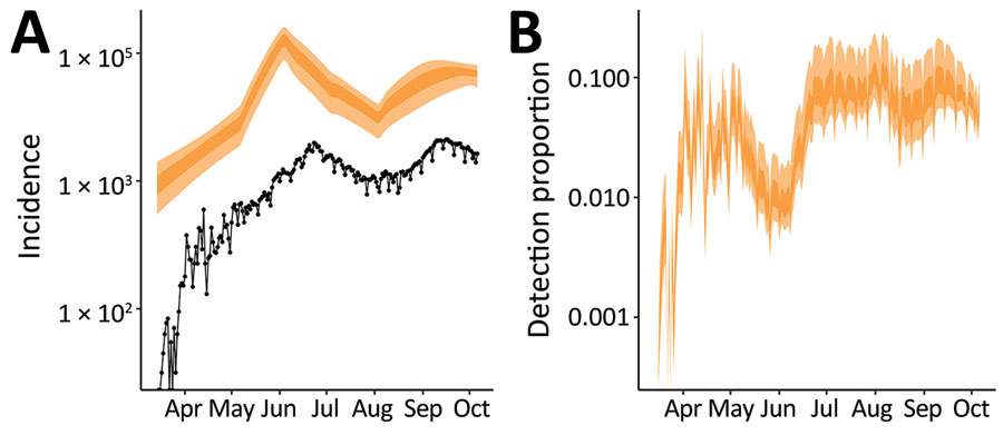 Reported cases of symptomatic severe acute respiratory syndrome coronavirus 2 infections and estimated actual number of cases, Delhi, India, March 15–September 30, 2020. A) Daily number of newly reported cases (black dots) and 50% (dark orange shading) and 95% (light orange shading) credible intervals (CrIs) for the estimated actual incidence of symptomatic infections, assuming that 2/3 infections are symptomatic. B) Estimated detection probability per symptomatic infection per day: 50% (dark orange) and 95% (light orange) CrIs.