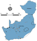 Locations where samples were collected from Micaelamys namaquensis rodents, South Africa and Zimbabwe. White circles indicate sites where no antibody to mammarenaviruses was found in M. namaquensis rat serum specimens; black circles, where antibody was detected in M. namaquensis rat serum specimens; black triangle, where a mammarenavirus isolate was obtained from an M. namaquensis rat sample. Shading indicates distribution range of M. namaquensis rats. Adapted from Chimimba and Bennett (15).