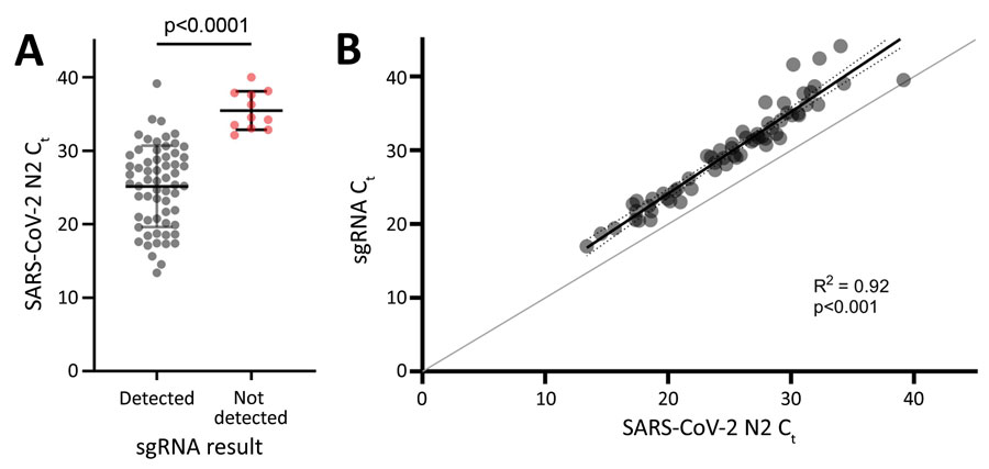 Correlation of sgRNA levels with total SARS-CoV-2 RNA in samples from study participants in Atlanta, Georgia, USA. A) N2 Ct values for samples in which sgRNA was detectable (gray dots) or not detectable (red dots). Horizontal bars indicate means, and error bars indicate SDs. B) sgRNA Ct values versus corresponding Ct values for the N2 target. Results of simple linear regression (black line) and error bars (dotted lines) are shown. Line of identity (gray line) is shown for reference. Ct, cycle threshold; N2, nucleocapsid 2; SARS-CoV-2, severe acute respiratory syndrome coronavirus 2; sgRNA, subgenomic RNA.