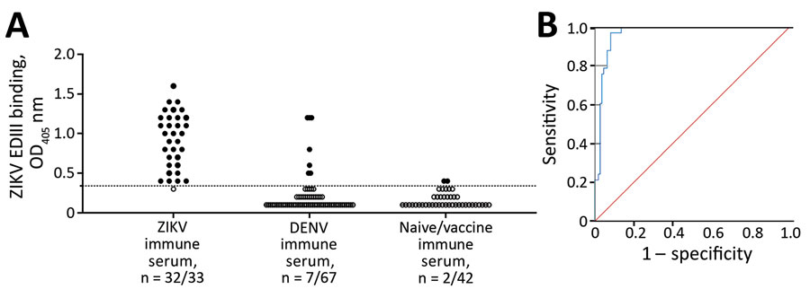 Performance evaluation of ZIKV EDIII assay in study of novel assay to measure ZIKV seroprevalence in the Philippines. Shown are the binding (A) and ROC (B) curve analysis of ZIKV EDIII ELISA using human convalescent serum samples. A panel of convalescent serum samples collected >12 weeks after onset of symptoms from primary and secondary ZIKV infections (n = 33), primary and multitypic DENV infections (n = 67), and serum samples collected >12 weeks after vaccination with a licensed Flavivirus vaccine or serum samples from Flavivirus-naive participants (n = 42) were tested by ZIKV EDIII ELISA. ROC demonstrated 0.966 (95% CI 0.94–0.99) area under the curve. The sensitivity of the EDIII capture ELISA was 97% (32/33) and the specificity 92% (100/109) at a cutoff value of 0.34. Red line indicates a random classifier and represents data points with equal true-positive rate and false-positive rate. The blue line is the ROC curve showing high performance of the ZIKV EDIII assay because the blue line is above and further away from a random classifier. DENV, dengue virus; EDIII, E protein domain III; OD405, optical density at 405 nm; ROC, receiver operating characteristic; ZIKV, Zika virus.