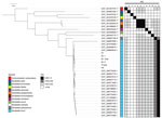 Comparative genomic analyses of Bordetella hinzii isolates from a patient in Missouri, USA, with type and nontype Bordetella assemblies. After core-genome alignment (58 total core genes), a neighbor-joining phylogenetic tree rooted with Achromobacter xylosoxidans as the outgroup demonstrates the isolates from this study cluster with other previously deposited B. hinzii genomes. Pairwise ANI was performed against type assemblies. The isolates in this study meet the ANI threshold (>0.96%) for species-level identity with B. hinzii type assembly GCF_900637615.1 (7). Isolates were recovered from peritoneal fluid cultures collected at day 1 and day 5 (P1 and P5, respectively; P2sub is a subculture of P1). Blood isolates were recovered from blood cultures collected on day 1 (B1.1 and B1.2; B1.1sub is a subculture of B1.1). As previously observed (8), the type genomes for B. pertussis, B. parapertussis, and B. bronchiseptica represent an instance of previously established, distinct species that exceed the species-level ANI threshold relative to each other. T indicates assemblies generated from type material. Type assemblies are numbered 1–12 on vertical axes as follows: 1, GCF_001457475.1; 2, GCF_000067205.1; 3, GCF_001676705.1; 4, GCF_001676725.1; 5, GCF_000306945.1; 6, GCF_001525545.2; 7, GCF_001598655.1; 8, GCF_900078335.1; 9, GCF_003350095.1; 10, GCF_900445775.1; 11, GCF_000657795.2; 12, GCF_900637615.1. ANI, average nucleotide identity.