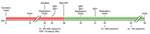 Timeline of SARS-CoV-2 infection in a patient with HIV/AIDS, California, USA. Line breaks indicate separation in time intervals. Replication indicates detection of minus-strand RNA. ART, antiretroviral therapy; IgG, spike S1 domain IgG; IgM, spike receptor binding domain IgM; VL, HIV viral load; +, positive; –, negative.