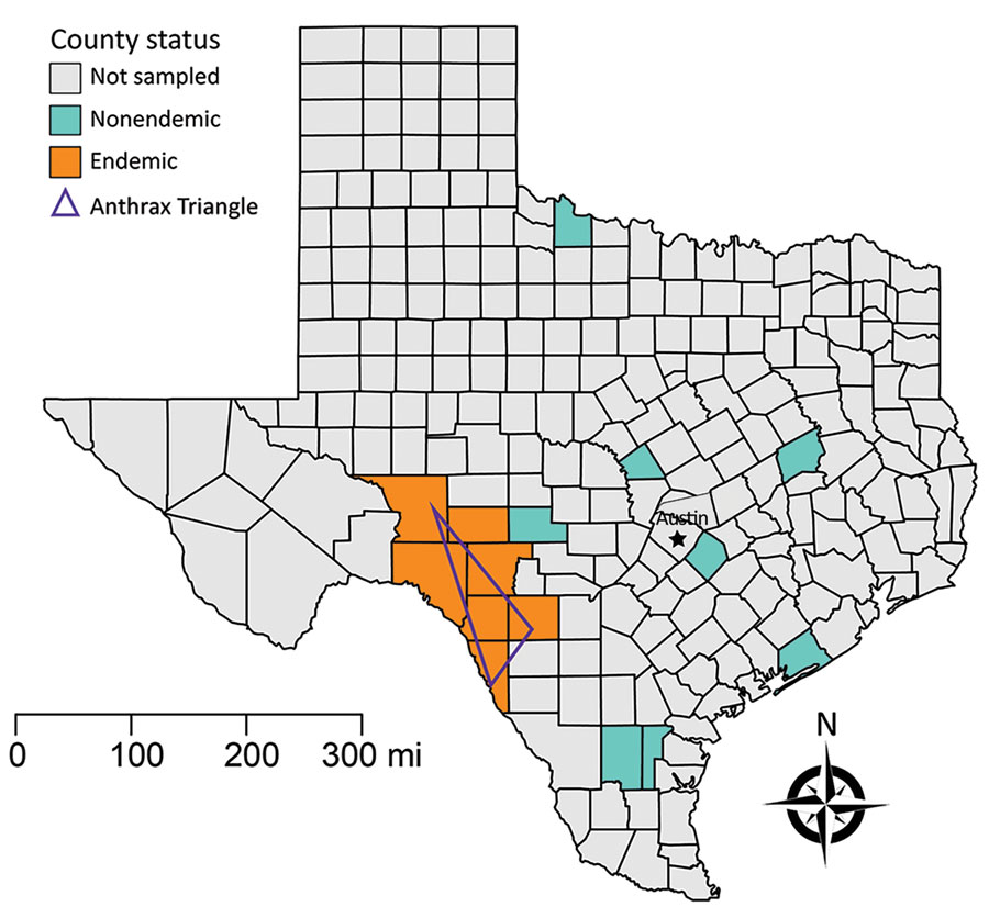 Field sampling designations for feral swine serum samples collected in Texas, USA. The Anthrax Triangle designates a region that experiences semiregular outbreaks of anthrax in both domestic and wildlife species. All other Texas counties are considered nonendemic, but we serosampled only 7 of those counties.