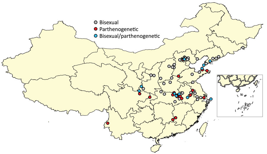 Geographic distribution of bisexual and parthenogenetic Asian longhorned ticks collected in China. Red dots indicate parthenogenetic ticks, gray dots indicate bisexual ticks, and blue dots indicate bisexual and parthenogenetic ticks.