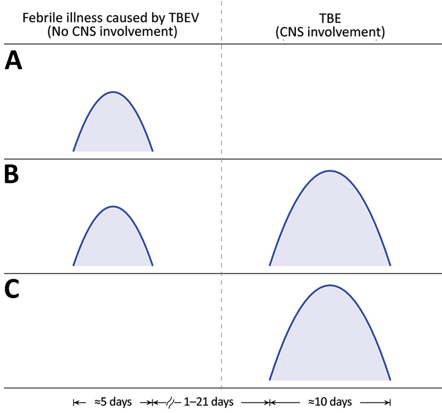 Timelines of clinical manifestations of illness caused by TBEV. A) Febrile headache (fever form); B) biphasic course of TBE; C) monophasic course of TBE. CNS, central nervous system; TBE, tick-borne encephalitis; TBEV, tick-borne encephalitis virus. 