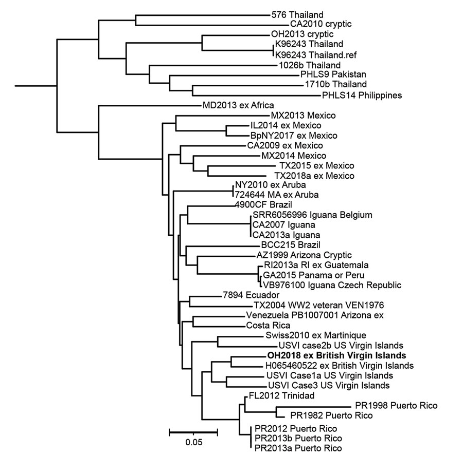 Dendrogram of Burkholderia pseudomallei isolated in a patient who traveled to the British Virgin Islands, 2018. Bold text indicates patient isolate; reference genomes predominantly are from the Western Hemisphere. The tree was generated by using MEGA 7.0 software (http://www.megasoftware.net). Single-nucleotide polymorphism analysis was performed by using Parsnp in the Harvest 1.3 package (https://github.com/marbl/harvest). Scale bar indicates nucleotide substitutions per site.