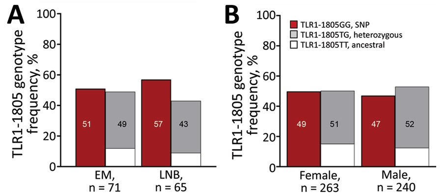 Frequency of TLR1–1805GG polymorphism among patients with Lyme borreliosis treated in Ljubljana, Slovenia, during 2006–2013 (A), compared with the general population of Europe (B). A) Lyme borreliosis patients with EM vs. LNB; B) general population by female vs. male sex. The TLR1 SNP results in an exchange of thymine (T, ancestral) with a guanine (G) allele at position 1805; GG corresponds to both copies of the SNP allele (SNP), TG with one copy (heterozygous), and TT with no copies (ancestral). The information in the general population was obtained from Ensemble genome browser 104 and is based on data from the 1,000 Genomes Project (https://useast.ensembl.org/index.html). EM, erythema migrans; LNB, Lyme neuroborreliosis; SNP, single-nucleotide polymorphism. 