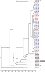 Time to most recent common ancestor estimated using hepatitis C virus (HCV) NS5B gene sequences of isolates from HCV antibody–positive persons identified during HIV outbreak investigation, Unnao, India. Red indicates samples with HIV–HCV coinfection; blue indicates samples with HCV monoinfection. Mean estimated time to most recent common ancestor of HCV isolates with the respective 95% highest posterior density interval is 2012 (2008–2014), with posterior probability value of 1. GenBank accession numbers are provided for reference sequences. Scale bar indicates branch lengths. I, HIV–HCV co-infection; IC, HCV monoinfection.