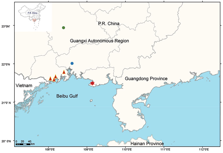 Geographic distribution of the new serotype of Vibrio parahaemolyticus, sequence type 3, serotype O10:K4, in Guangxi, China, 2020. Red star represents the outbreak site in Beihai; red triangles represent outbreak sites in Fangchenggang; blue circle represents the sporadic case in Qinzhou, and green circle represents the sporadic case in Nanning. Inset map shows study location in China.