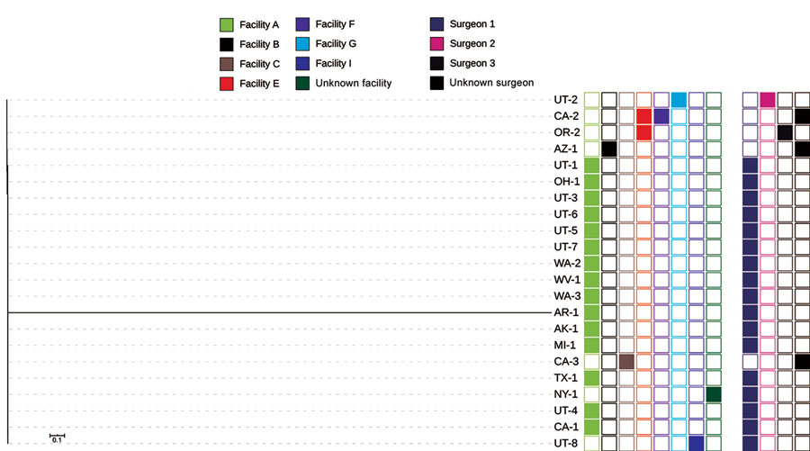 Whole-genome sequencing analysis and selected epidemiologic data for 22 Verona-integron-encoded metallo-β-lactamase-producing carbapenem-resistant Pseudomonas aeruginosa clinical isolates from US medical tourists who underwent surgery in Tijuana, Mexico, August 2018–December 2019. Phylogenetic tree includes an outlier isolate from Arkansas. On the right, the first group of 8 columns indicates facilities (A, B,C, E, F, G, I, and unknown), and the second group of 4 columns indicates surgeons (1, 2, 3, and unknown). Scale bar indicates nucleotide substitutions per site.