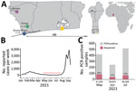 Molecular surveillance of severe acute respiratory syndrome coronavirus 2 (SARS-CoV-2) in Benin, May–July 2021. A) Sampling sites from which 200 SARS-CoV-2–positive respiratory samples were collected. Left map shows enlarged region of the 4 sampling sites in southern Benin; center map shows location sampling sites in the southern tip of the Benin; right map shows location of Benin (red) in Africa. Benin maps were obtained from The Humanitarian Data Exchange (https://data.humdata.org) and were plotted with the ggplot2 package in R (R Foundation for Statistical Computing, https://www.r-project.org); Africa map was generated by using the rworldmap package in R. B) Reported number of cases from Benin during 2021 based on data from the World Health Organization (https://covid19.who.int/region/afro/country/bj; accessed 2021 Sep 21). Red horizontal line indicates the study period. C) Monthly number of SARS-CoV-2–positive samples from the reference laboratory in Benin. Red denotes the number of samples that were sequenced in this study. Numbers below baseline indicate the total number of samples collected each month.