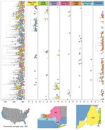 Time-calibrated phylogeny of severe acute respiratory syndrome coronavirus 2 variant B.1.1.7, New York and other states, USA, December 2020–April 2021. Left panel represents a maximum-likelihood phylogeny of 1,195 genomes from New York and other states generated in IQTree 1.6.12 (20) with timescale inferred by TreeTime 0.7.6 (22) and ancestral state reconstruction performed in BEAST 2.6.2 (23). The tree was rooted with a P.1 genome (not shown). Faceted panels indicate the source of B.1.1.7 introductions into different regions of New York and other states (domestic). Only introductions supported by an ancestral state probability of >0.7 are shown. Bottom panel shows locations sampled and sample sizes. A, April; J, January; O, October.