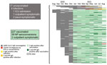 Timeline of antibody responses and SARS-CoV-2 infections among US healthcare worker participants in the Prospective Assessment of SARS-CoV-2 Seroconversion (PASS) study, January–August 2021 (17 unvaccinated and 227 vaccinated participants). Each horizontal bar represents the infection, vaccination, and serologic status obtained monthly in all participants who had not been diagnosed with SARS-CoV-2 by PCR or S protein IgG seroconversion by January 31, 2021. White spaces indicate no data. Gray bars represent negative S protein IgG. Red bars indicate month of SARS-CoV-2 diagnosis by PCR positivity or S protein IgG seroconversion. Yellow bars indicate S protein IgG seroconversion after SARS-CoV-2 diagnosis in unvaccinated persons, and orange bars indicate presence of both S protein and NP antibodies in unvaccinated persons. Light green bars indicate S protein IgG seroconversion after vaccination. Dark green bars indicate detection of NP IgG in addition to S protein antibodies at timepoints postvaccination. S, spike protein; NP, nucleocapsid protein; ICU, intensive care unit; SARS-CoV-2, severe acute respiratory syndrome coronavirus 2.